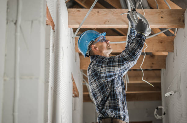 Best Residential Electrician Services  in Land O Lakes, FL