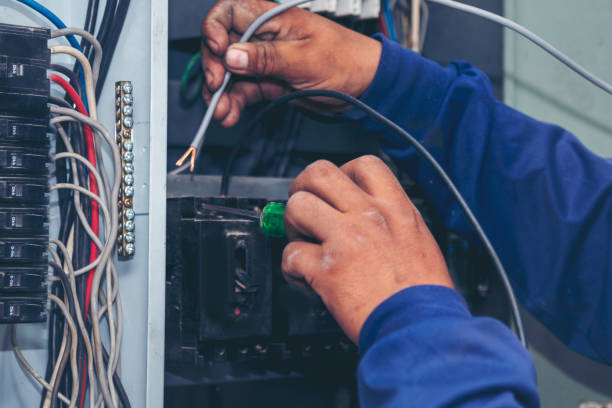 Best Electric Panel Repair  in Land O Lakes, FL